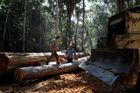 Stavba, která může zničit prales. Uvnitř Amazonie má vzniknout dlouhá dálnice