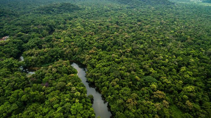 Amazonský prales, Brazílie. Ilustrační foto.
