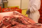 Výkupní cena vepřového masa spadla od léta o pětinu
