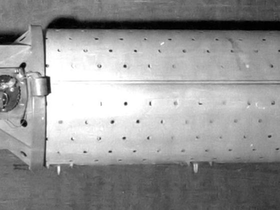 Nejkurióznější zbraně v historii Bat bomb