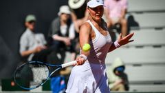 Gabriela Knutsonová