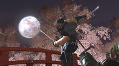 Ninja Gaiden 2