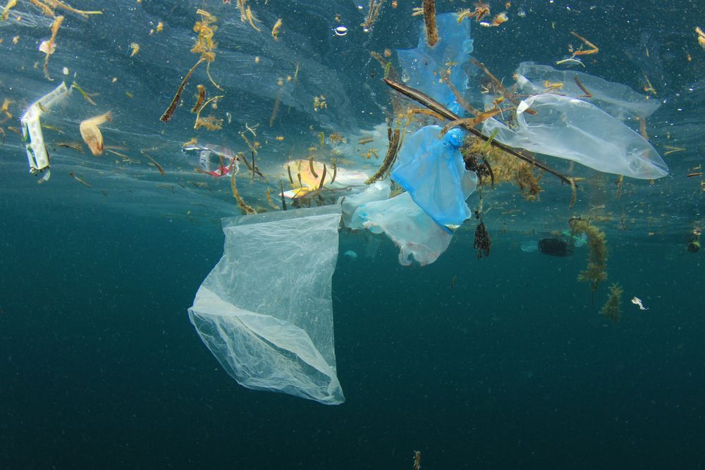 Plastová taška v moři, plast, oceán, plastový odpad, igelitový pytlík, ilustrační foto.