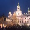 Vánoční stromy - České Budějovice