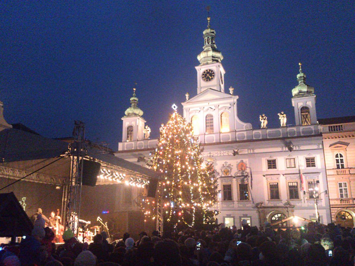 Vánoční stromy - České Budějovice