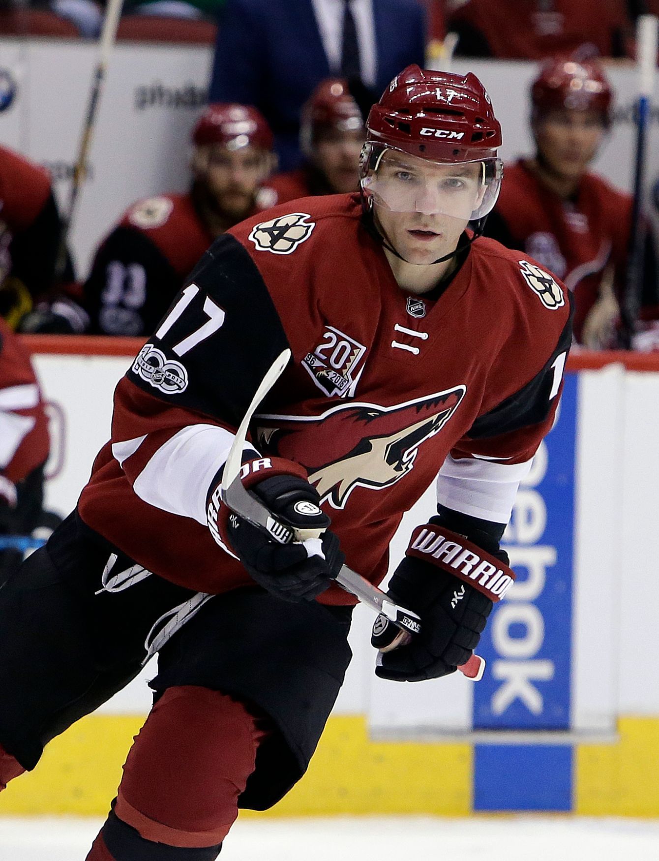 Radim Vrbata, Arizona, NHL 2016/17