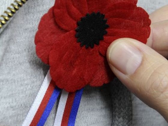 DEN VÁLEČNÝCH VETERÁNŮ den válečných veteránů symbol vlčího máku
