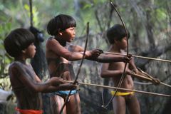 V Amazonii vymírá izolovaný indiánský kmen