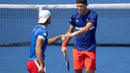 Tennis: Davis Cup