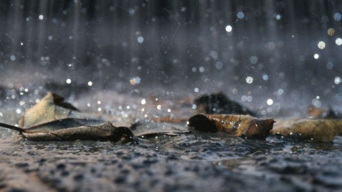 Déšť. Ilustrační foto