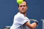 První dvouhry Davis Cupu v Austrálii asi odehrají Veselý a Šátral