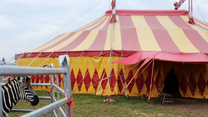Cirkus Humberto v 21. století. Jak se dnes žije cirkusákům?