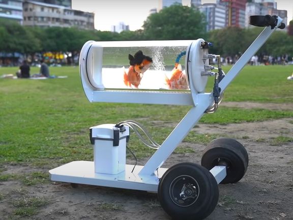 Tchajwanský youtuber si svépomocí sestrojil kočárek pro rybičky, aby je s sebou mohl brát ven.