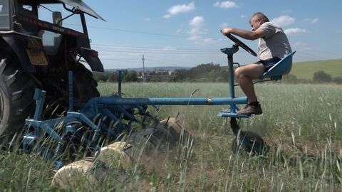 Český farmář chce obelstít sucho. Seje žito s kukuřicí dohromady