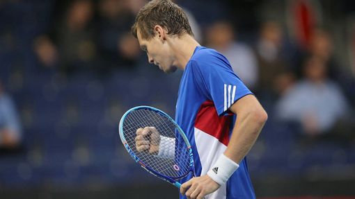 Tomáš Berdych, Davis Cup