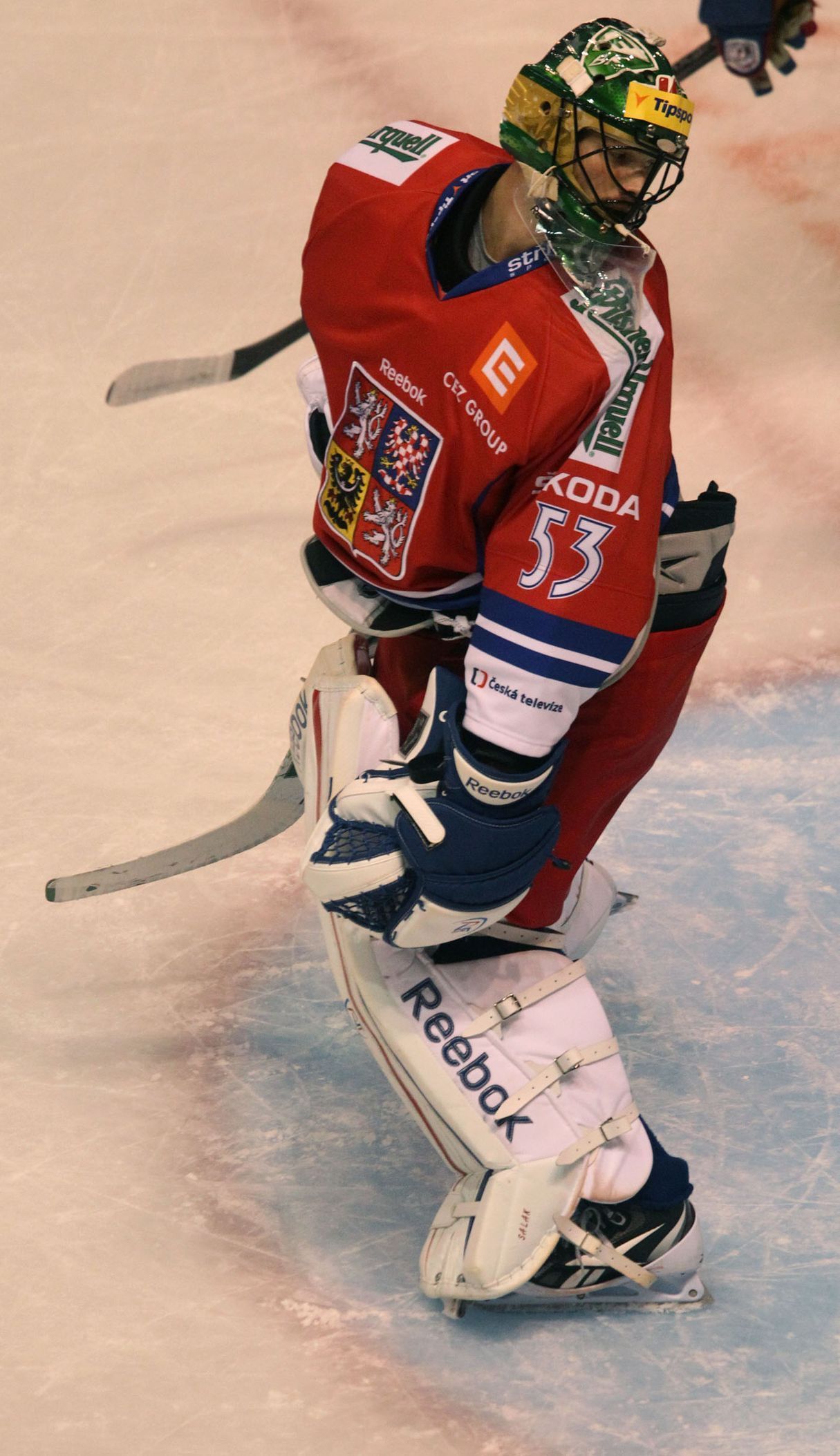 Hokej, EHT, Česko - Rusko: Alexander Salák