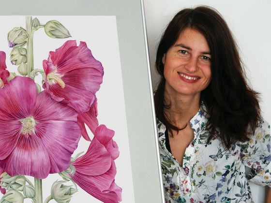 Pavlína Kourková Pavlína Kourková medailon