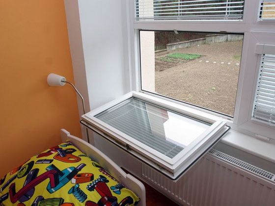 Infobox Případ týraného chlapce v Brně