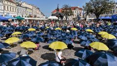 Polské oslavy 10. výročí vstupu do EU v Rzeszowě.