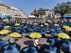Polské oslavy 10. výročí vstupu do EU v Rzeszowě.