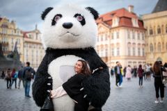 Tunisan v Praze navlékl bezdomovce do kostýmu pandy a vybíral od turistů peníze