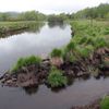 Revitalizace šumavských potoků