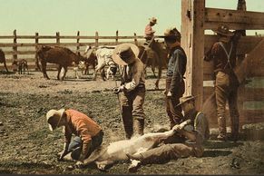 Krajinou kovbojů a zlatokopů: Staré fotky ukazují zlatou horečku u Cripple Creeku