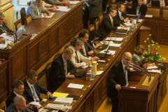Sněmovna podpořila úmluvu proti sexuálnímu zneužívání dětí