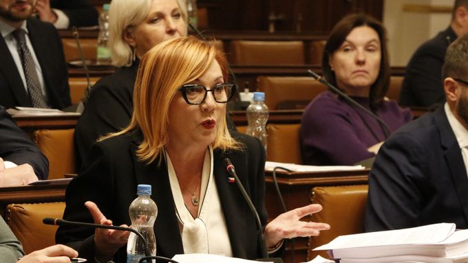 Aktuálně.cz zachytilo kromě kritiky směřované na poslankyni ANO Alenu Schillerovou také její "obhajobu" - vysvětlení, proč chce vrátit vládě rozpočet.