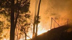 Austrálie bojuje se stovkou lesních požárů