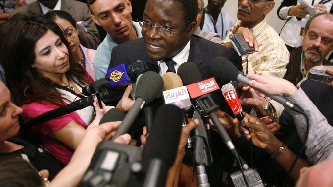 George Chiramba, mluvčí prezidenta Mugabeho, v obležení reportérů v dějišti summitu Africké unie, egyptském přímořském letovisku Šarm aš-Šajch