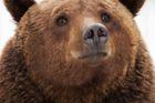 Medvěd lovcům na Kamčatce ukradl z auta ledničku