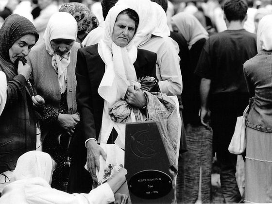Infobox Srebrenica