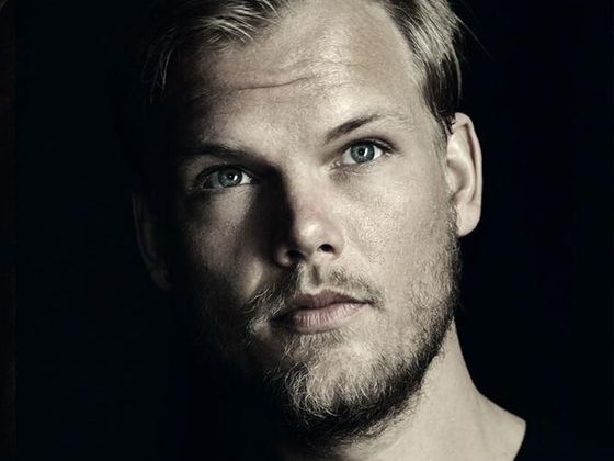 Avicii: Tim Avicii: Tim