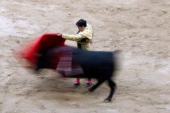 Poslední korida, stoletá býčí aréna v Barceloně končí