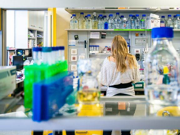 Laboratoř, kde čeští vědci zkoumají proteiny koronaviru 2.