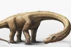 Největší dinosaurus zemřel mladý. Mohl ještě růst