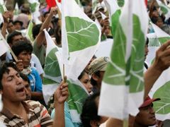 Peruánci v Limě demonstrují proti nedávné zprávě Mezinárodního výboru OSN pro kntrolu drog (INCB), který je a Bolivijce vyzval, aby "zakázali aktivity jako žvýkání koky a výrobu čaje z kokových listů".