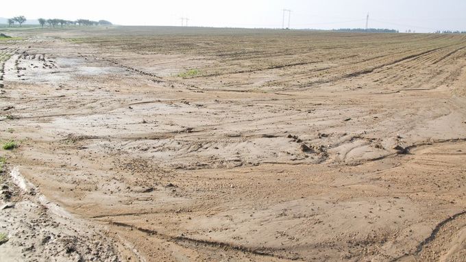 Eroze půdy na poli osetém řepkou na Žďársku (ilustrační foto)