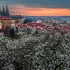 Krása jarní Prahy na fotografiích Richarda Horáka (vítěz soutěže Praha fotografická 2023)