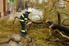 Silné bouřky zasáhly Česko, hasiči na Litoměřicku odklízejí popadané stromy a čistí ucpané kanály