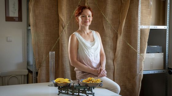 Od hrnce a hrsti měsíčku ke známé značce. Poctivou kosmetiku vytváří už 35 let