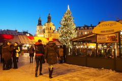 Na Křivoklátsku uřízli vánoční strom pro Prahu. Smrk je starý 66 let a měří přes dvacet metrů
