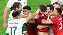 Jihoafričan Eben Etzebeth (v bílém za hráčem s číslem 17) tlačí palec do oka Alexe Manna z Walesu