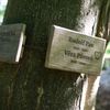 Les vzpomínek, první český přírodní hřbitov, Ďáblický hřbitov, náhrobky, zemřelí