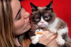 Zemřela nejslavnější kočka na světě, rozmrzelé Grumpy Cat bylo sedm let