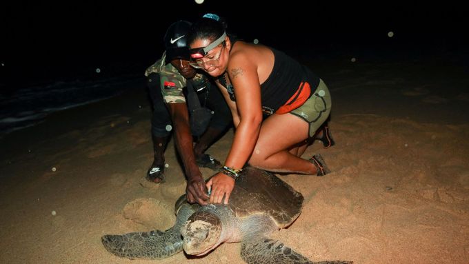 Bývalý lovec želv Joaquim Avelino Fragoso (vlevo) nyní asistuje při jejich záchraně.