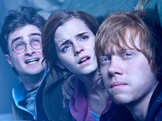 Top 20 nejoblíbenějších knih Harry Potter a Relikvie smrti - část 2