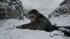Trailer k filmu Válka o planetu opic
