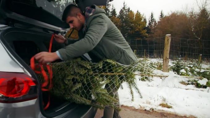 Jak správně naložit vánoční stromek? Podívejte se na videonávod od německého autoklubu ADAC.
